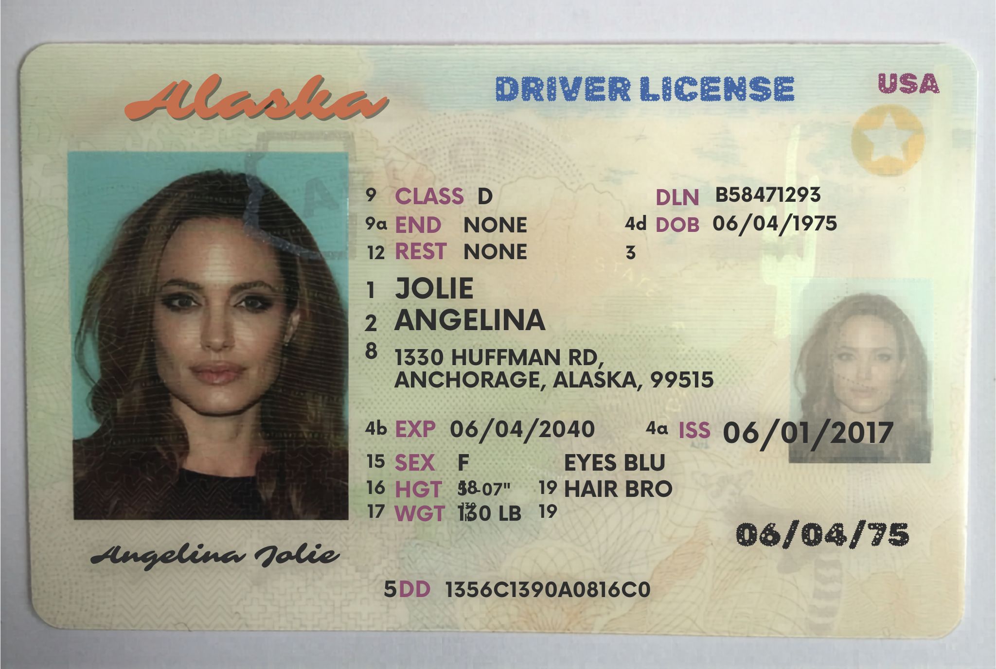 Alaska ID Card
