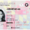 Maryland